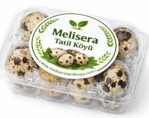 Bıldırcın Yumurtası (1 paket-6 adet)