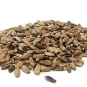 Deve Dikeni Tohumu (100 gr)